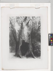 I Sunk Into Solitude (チンアップリケ紙にリトグラフ) 作： Odilon Redon