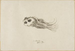 1887 年 4 月 1 日、フランスのリトグラファーのためのディナーのメニュー 作： Odilon Redon