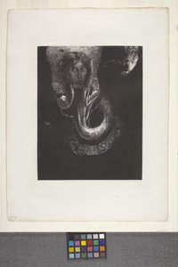 Oannès: "I, The First Consciousness Of Chaos..." (litografia sobre papel chine appliqué) 作： Odilon Redon