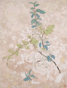 梨の花