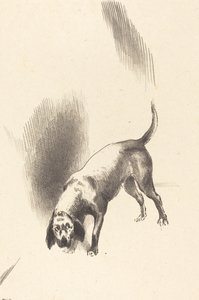 犬