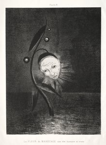 沼の花、悲しい人の頭 作： Odilon Redon