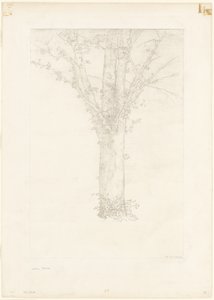 木 作： Odilon Redon