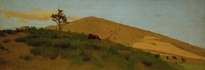 牧草地 作： Odoardo Borrani