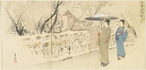 Garyo_bai Plum in Kameido, December 1895 作： Ogata Gekko