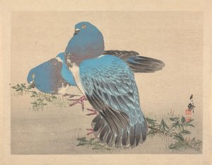  作： 尾形月光
