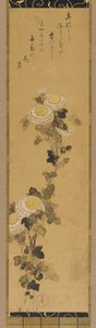 菊、18～19世紀。 作： Ogata Kenzan