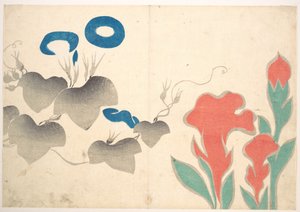 アサガオとその他の花の図案 作： 尾形光琳