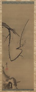 サクラ、掛軸、1700年頃（絹にインク） 作： Ogata Korin