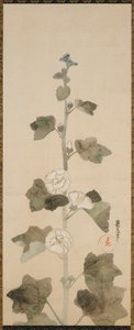 白葵 江戸時代・17世紀後半～18世紀前半。 作： Ogata Korin