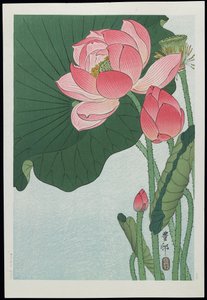 咲く蓮の花、1920-30（色の木版画）