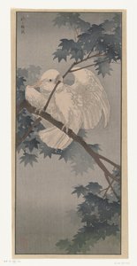 木の黄色紋付きオウム 作： Ohara Koson (attributed to)