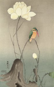 カワセミとハス、1910年頃、