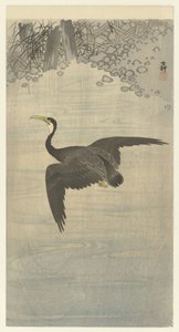 飛行中の鵜 作： Ohara Koson