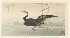 鵜と魚 作： Ohara Koson