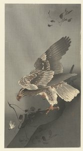 獲物を狙うワシ 作： Ohara Koson