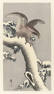 雪に覆われた松の木のワシ 作： Ohara Koson