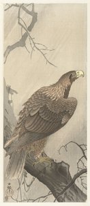 木の枝にワシ 作： Ohara Koson
