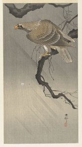 ワシの枝 作： Ohara Koson