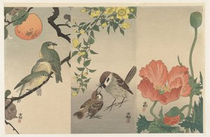 鳥と植物 作： Ohara Koson