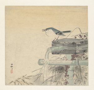 青いナイチンゲール 作： Ohara Koson