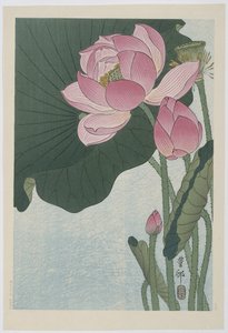 咲く蓮の花 作： Ohara Koson