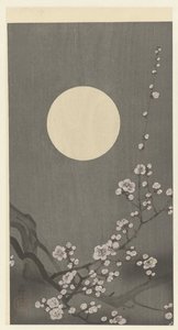 満月に咲く梅の花 作： Ohara Koson