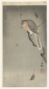 モズとクモ 作： Ohara Koson