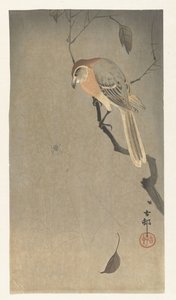 モズとクモ 作： Ohara Koson