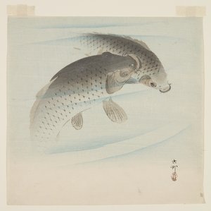 鯉（コイ）（カラー木版画 作： Ohara Koson