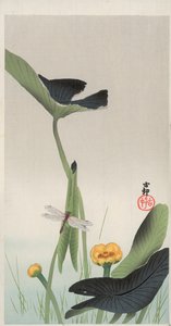 トンボとハス（カラー木版画 作： Ohara Koson