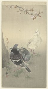 飼いならされた 3 羽のハト 作： Ohara Koson