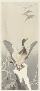 雪に覆われた切り株にアヒル 作： Ohara Koson