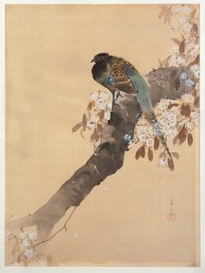 桜の枝のキジ 作： Ohara Koson