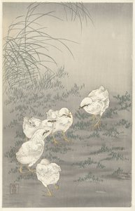 ヒナ5羽 作： Ohara Koson