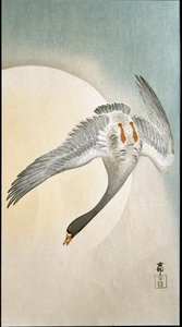 月光に照らされた鴨の飛翔 キイログラフィと日本画プリント 大原幸村（1877-1945） 1908年 個人蔵 DR 作： Ohara Koson