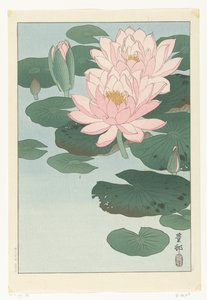 開花スイレン 作： Ohara Koson