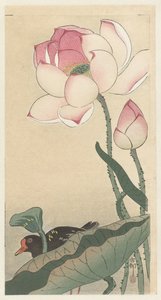 蓮の花とガリヌル 作： Ohara Koson