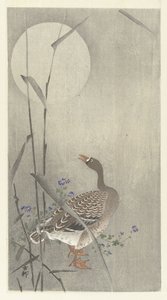 満月のガチョウ 作： Ohara Koson