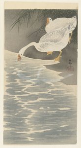 海岸のガチョウ 作： Ohara Koson