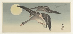 満月のガチョウ