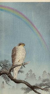 松の木にオオタカ、その上に虹（カラー木版画 作： Ohara Koson