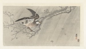 嵐の中のムクドリ 作： Ohara Koson