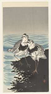 オオノットサンドパイパー 作： Ohara Koson