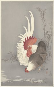 おんどりと鶏