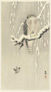スズメを捕まえたタカ。 作： Ohara Koson