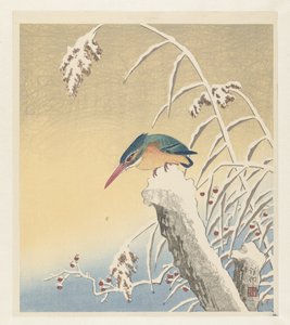 雪の中のカワセミ 作： Ohara Koson