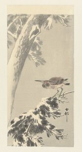 雪に覆われた木の枝にインドゴイサギ 作： Ohara Koson