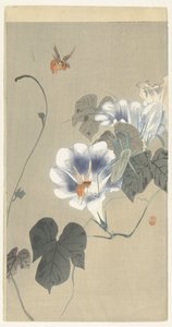 ヒルガオの昆虫 作： Ohara Koson