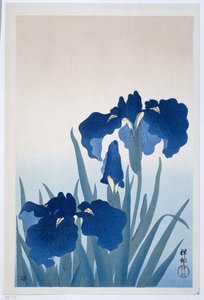 アイリス、1925-36（木版画）